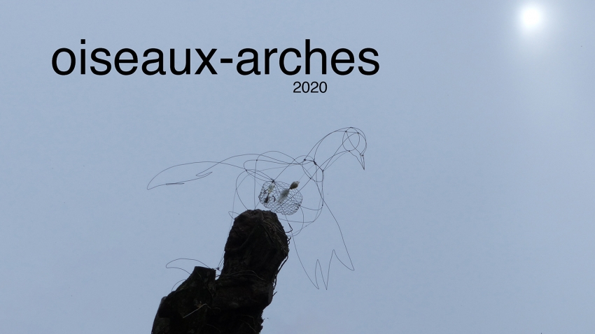 Oiseaux-arches